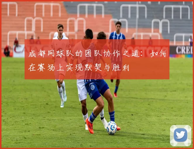 成都网球队的团队协作之道：如何在赛场上实现默契与胜利
