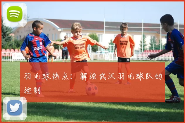 羽毛球热点：解读武汉羽毛球队的控制