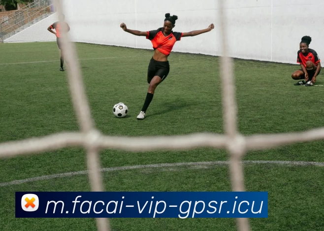 App Interface Preview