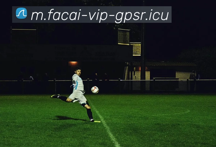 数据防护可视化